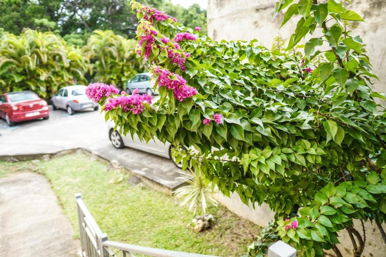 Color Garden - Studio Martinique Sainte-Anne Exteriör bild