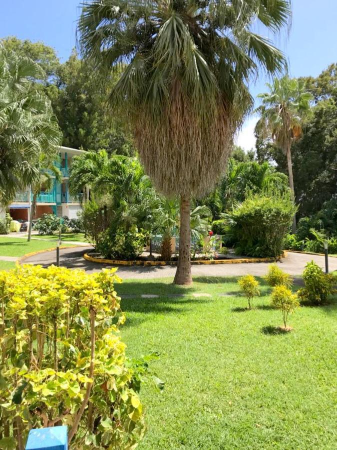 Color Garden - Studio Martinique Sainte-Anne Exteriör bild