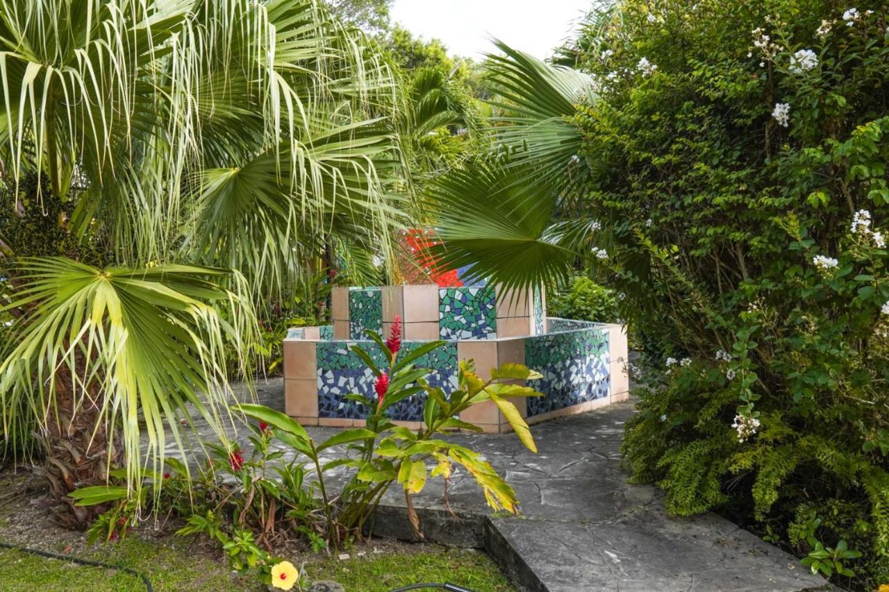 Color Garden - Studio Martinique Sainte-Anne Exteriör bild